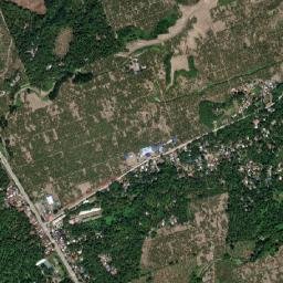 Bungabon map(satellite map)