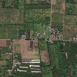 Dacudao map(satellite map)