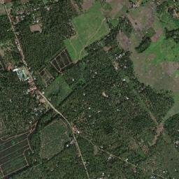 Wines map(satellite map)