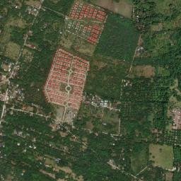 Cogon map(satellite map)