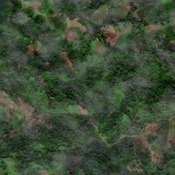 Pantukan map(satellite map)