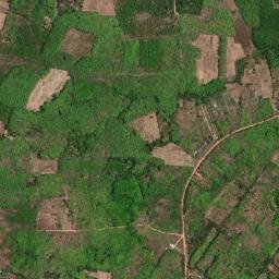 Amphoe Khlong Hoi Khong map(satellite map)