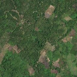 Gadung map(satellite map)