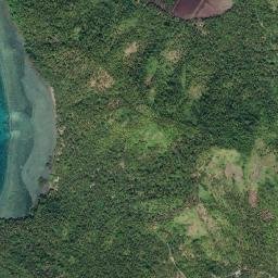 Talisay map(satellite map)