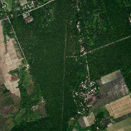 Gansing map(satellite map)