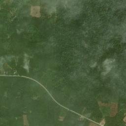 Amphoe Na Thawi map(satellite map)