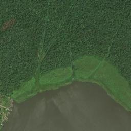 Ejirin map(satellite map)