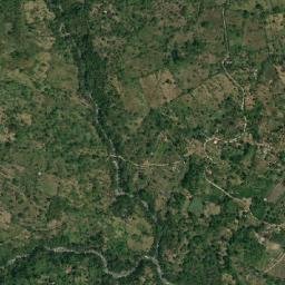 Palmar map(satellite map)