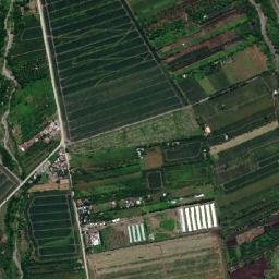 Polo map(satellite map)