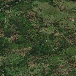 El Guacamayo map(satellite map)