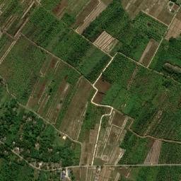 Amphoe Tak Bai map(satellite map)