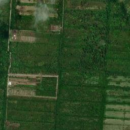 Nieuw Nickerie map(satellite map)
