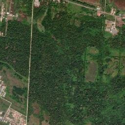 Totness map(satellite map)