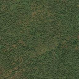 Grimari map(satellite map)