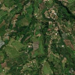 Jardín map(satellite map)