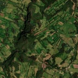 Caldas map(satellite map)