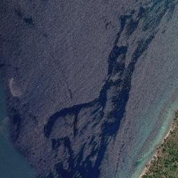 Pandami map(satellite map)