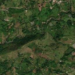Buenavista map(satellite map)