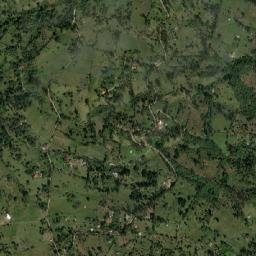 Chinavita map(satellite map)