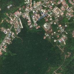 Kapok map(satellite map)