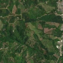 La Celia map(satellite map)