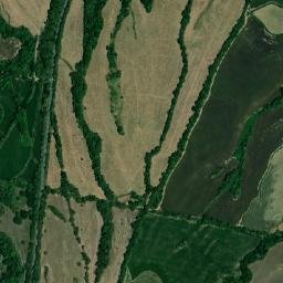 Venadillo map(satellite map)