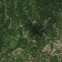 Tena map(satellite map)