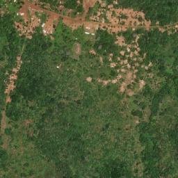 Gambo map(satellite map)