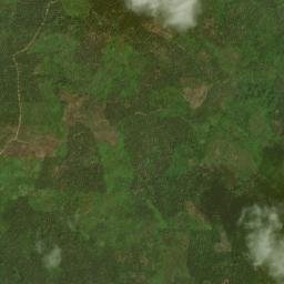 Kabupaten Aceh Timur map(satellite map)
