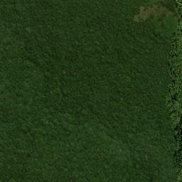 Kabupaten Aceh Tengah map(satellite map)