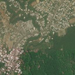 Muyuka map(satellite map)