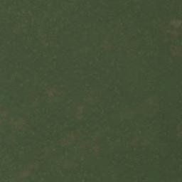 Essé map(satellite map)