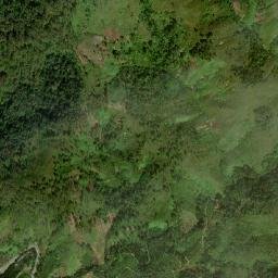 Kabupaten Gayo Lues map(satellite map)