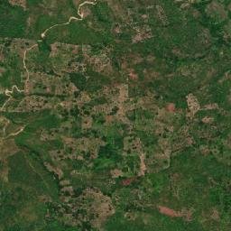 Coyaima map(satellite map)