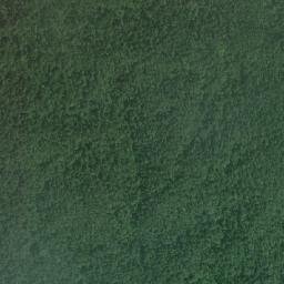 Kabupaten Aceh Tenggara map(satellite map)
