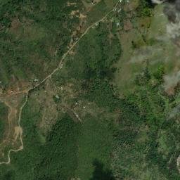 Florida map(satellite map)