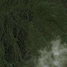 Planadas map(satellite map)