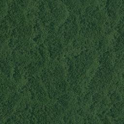 López de Micay map(satellite map)