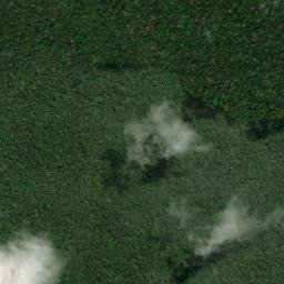 Mapiripana map(satellite map)
