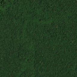 Municipio Autónomo Alto Orinoco map(satellite map)