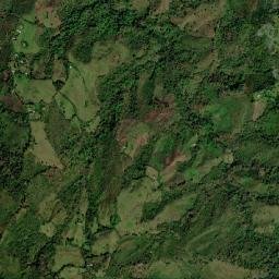 La Vega map(satellite map)