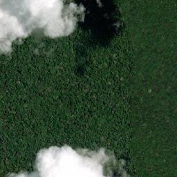 Papunaua map(satellite map)