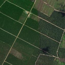 Kota Dumai map(satellite map)