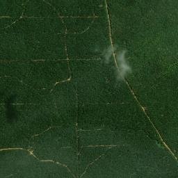 Kabupaten Padang Lawas map(satellite map)