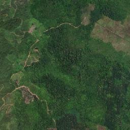 Bengkayang map(satellite map)