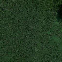 Caruru map(satellite map)