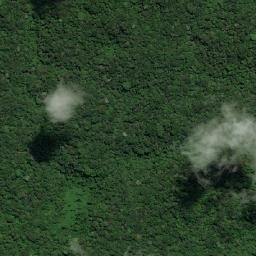 Laranjal do Jari map(satellite map)