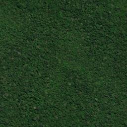 Ferreira Gomes map(satellite map)