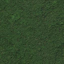 Kabupaten Bolaang Mongondow Utara map(satellite map)