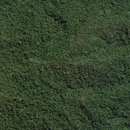 Kabupaten Bolaang Mongondow map(satellite map)